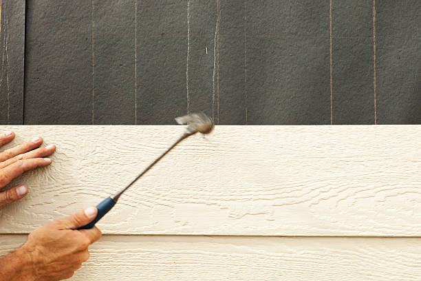 Best Custom Siding Design  in Columbus Junction, IA